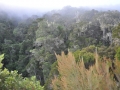 madagascar-anjozorobe-reserve01.jpg