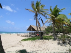 Barra Lodge  Mozambique20.jpg