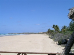 Barra Lodge  Mozambique21.jpg