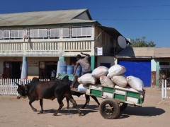 Madagaskar-Belo-the village and crossing of the river20.jpg