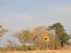 zimbabwe-hwange-osobliwe-znaki-drogowe-ktore-tutaj-jednak-nikogo-nie-dziwia.jpg