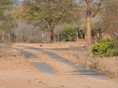 zimbabwe-hwange-tak-wygladaly-utwardzone-drogi-w-czasach-wczesno-kolonialnych_0.jpg