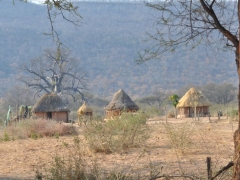 zimbabwe-hwange-wioska-wsrod-baobabow.jpg