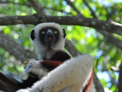 Madagascar-Nosy-Be Island056.jpg