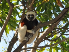 Madagascar-Nosy-Be Island061.jpg