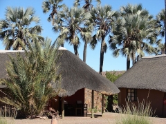 namibia-palm-wag-lodge.jpg