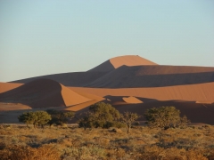 Sossusvlei07.jpg