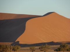 Sossusvlei08.jpg