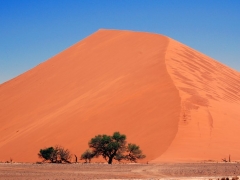 Sossusvlei09.jpg