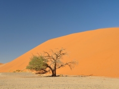 Sossusvlei10.jpg