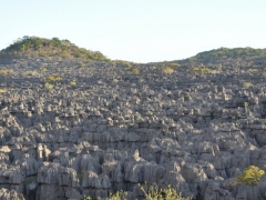 Madagascar-Ankarana reserve-Tsingy-Rary42.jpg