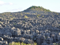 Madagascar-Ankarana reserve-Tsingy-Rary44.jpg