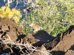 Madagascar-Ankarana reserve-Tsingy-Rary49.jpg