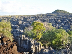 Madagascar-Ankarana reserve-Tsingy-Rary50.jpg