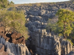 Madagascar-Ankarana reserve-Tsingy-Rary60.jpg