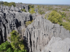 Madagaskar-Tsingy reserve36.jpg